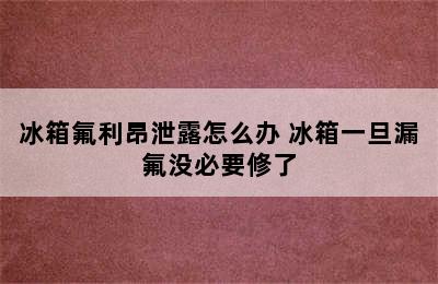 冰箱氟利昂泄露怎么办 冰箱一旦漏氟没必要修了